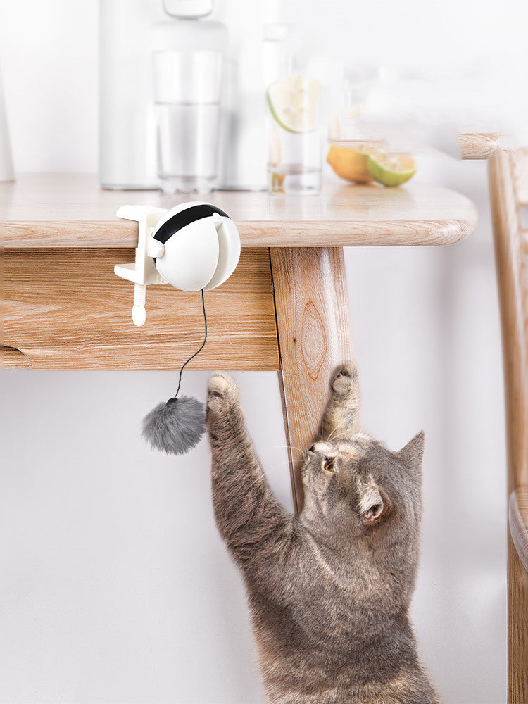 Automatic Interactive Cat Toy | Endless Fun & Exercise