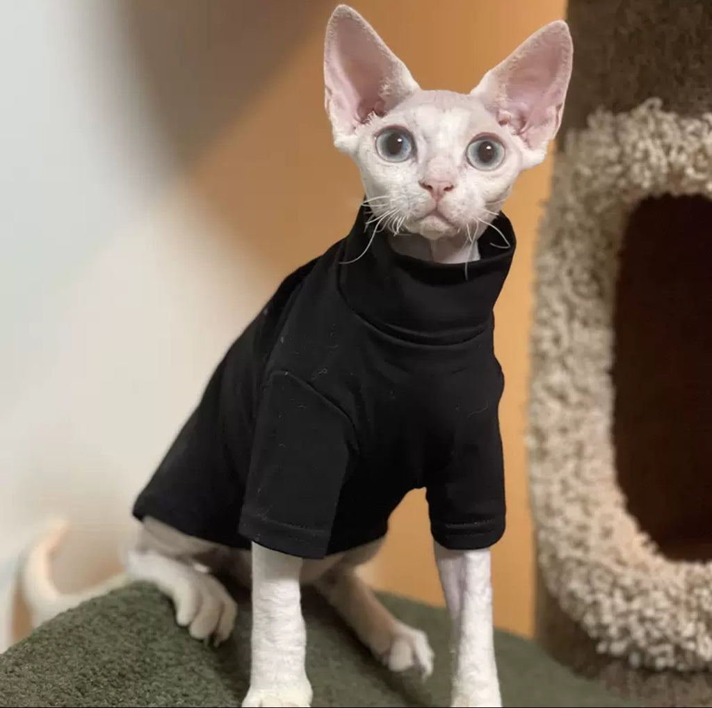 Soft Cotton Pet Hoodie with Turtleneck | Cat & Small Dog Sweatshirt