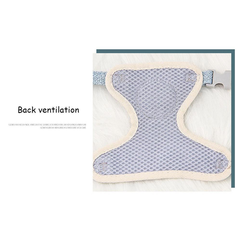 Soft Pet Leash & Harness Set for Cats and Small Dogs