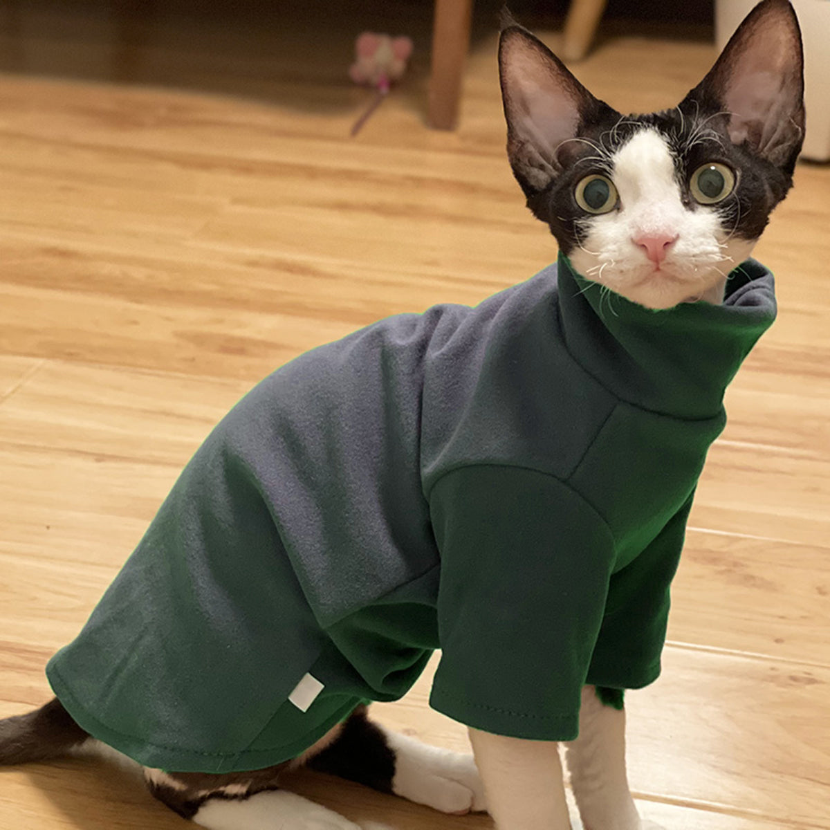 Soft Cotton Pet Hoodie with Turtleneck | Cat & Small Dog Sweatshirt