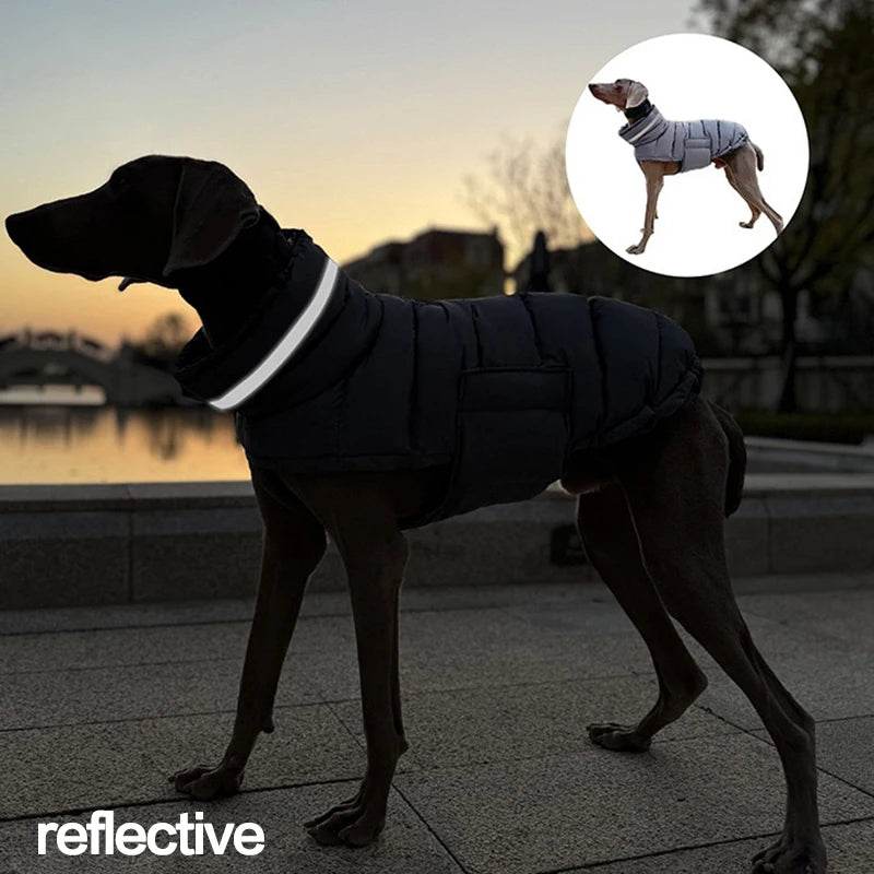 Luxury Winter Dog Jacket | Soft Fleece Lining & Adjustable Fit