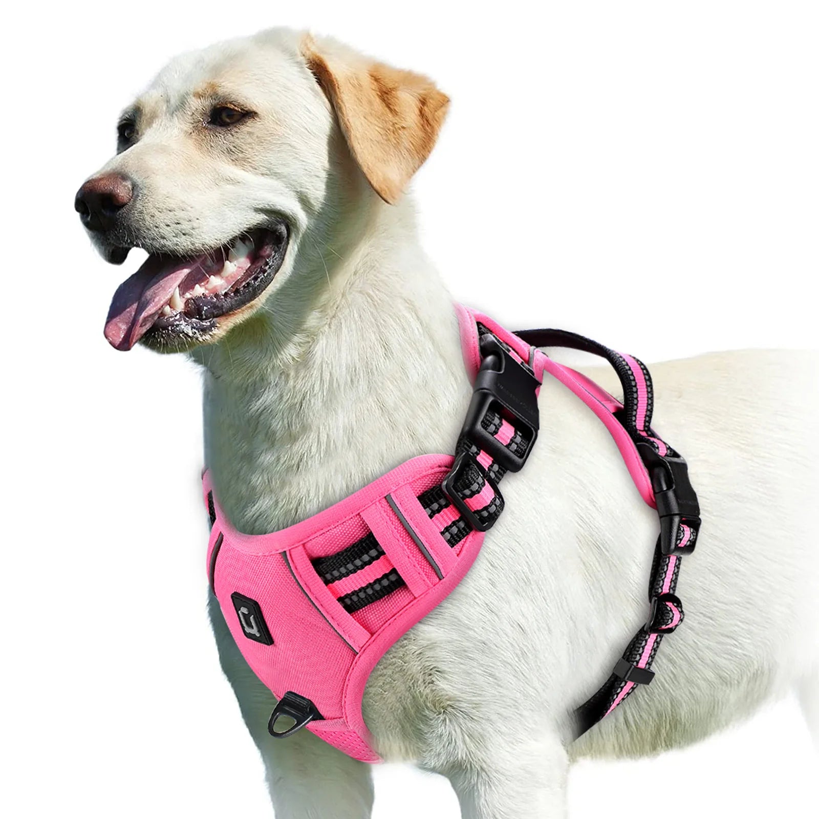 Adjustable Reflective No-Pull Dog Harness | Breathable Nylon Vest for Medium & Large Dogs