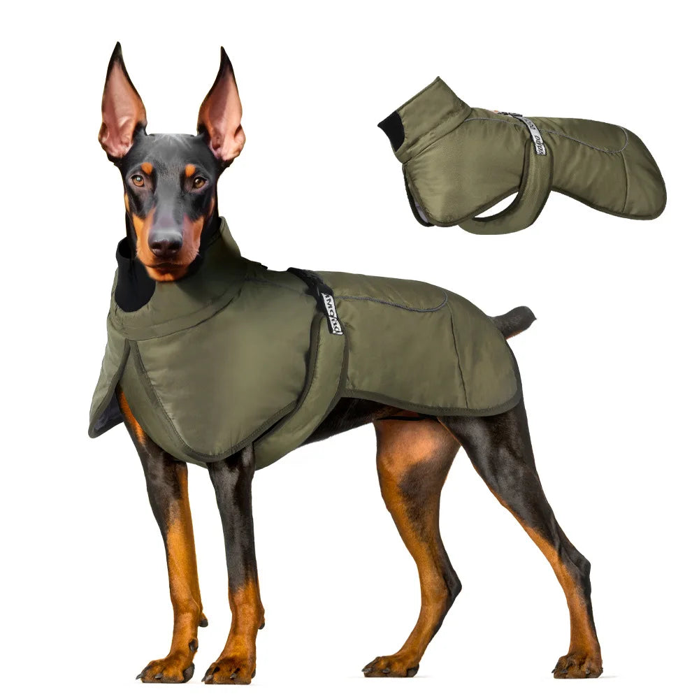Selected Variant Image