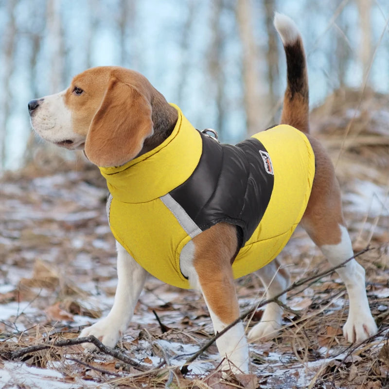 Waterproof Winter Dog Jacket | Padded Warm Vest for Small & Large Dogs
