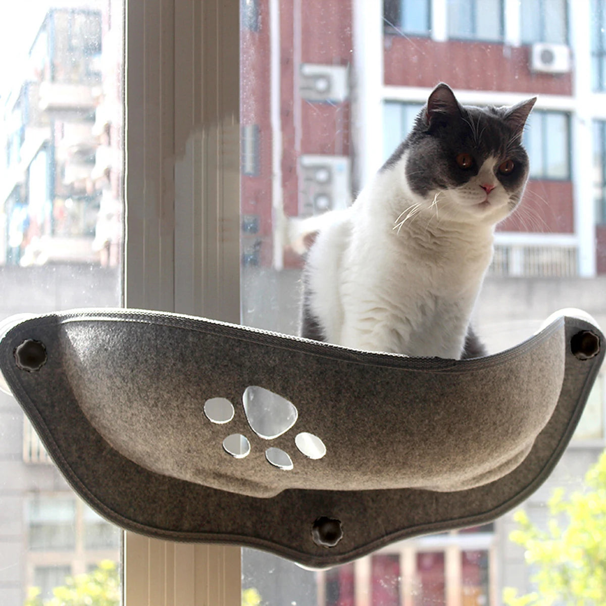 Window-Mounted Cat Hammock | Heavy Duty Suction Cup Bed up to 15kg