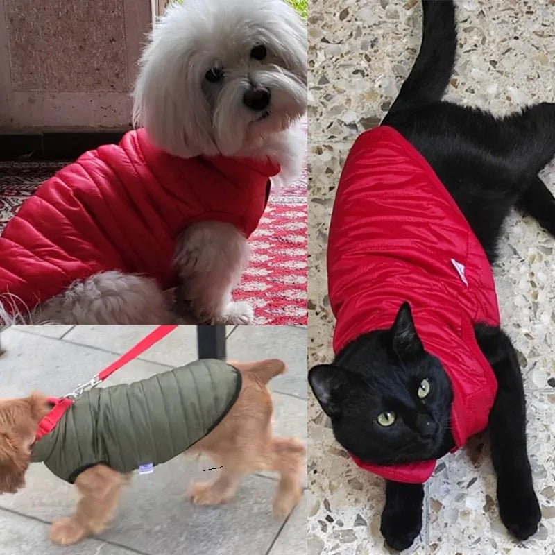 Winter Dog Vest | Warm Fleece Jacket for Small & Medium Dogs