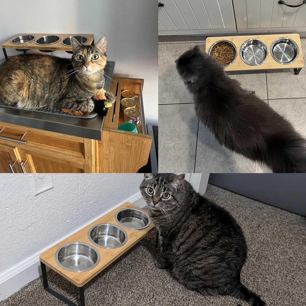 Triple Raised Feeding Bowls for small Dogs & Cats | Ergonomic Wooden Stand