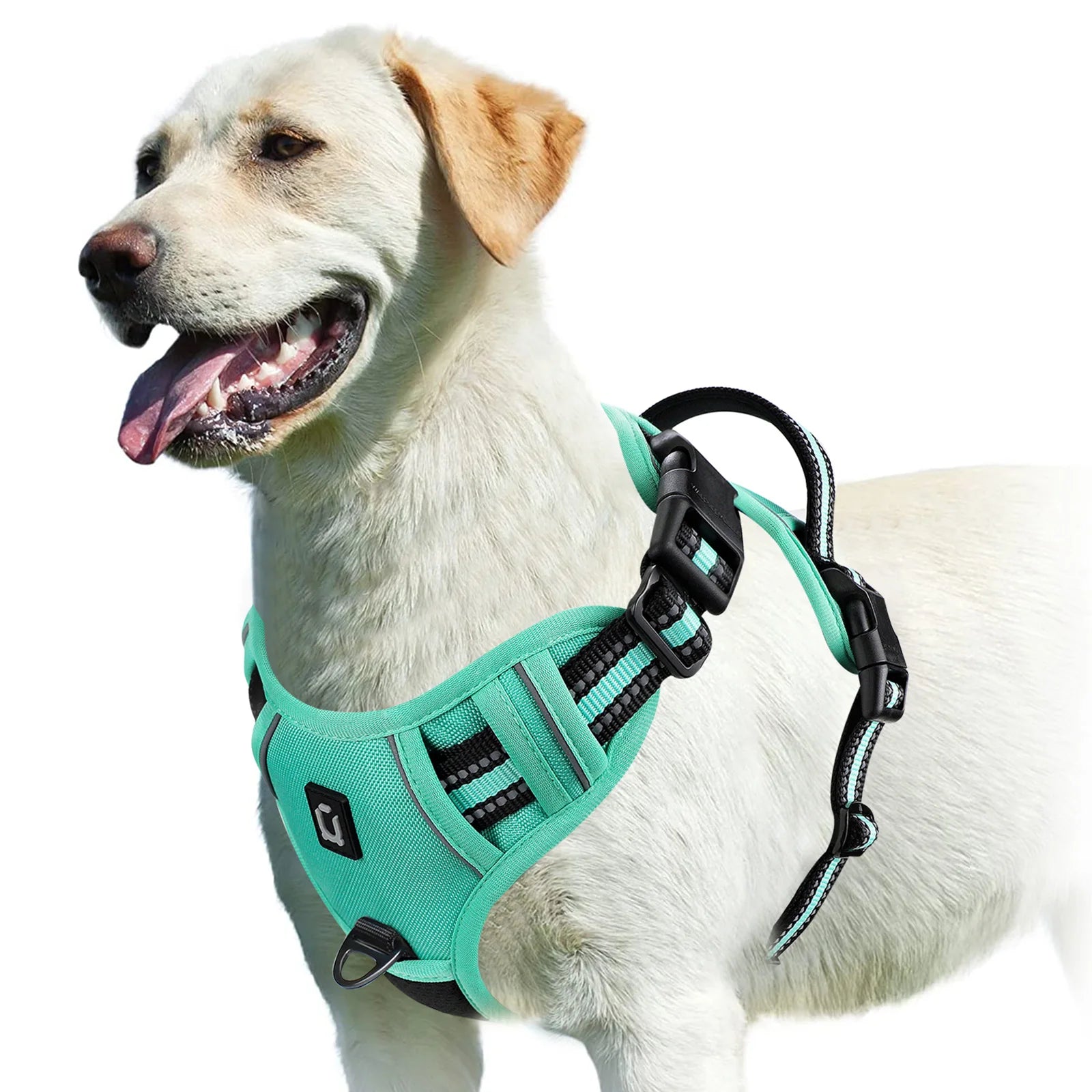 Adjustable Reflective No-Pull Dog Harness | Breathable Nylon Vest for Medium & Large Dogs