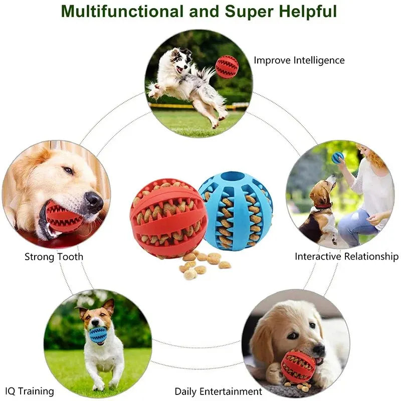 Interactive Dog Treat Ball | Chew Toy & Dental Cleaner