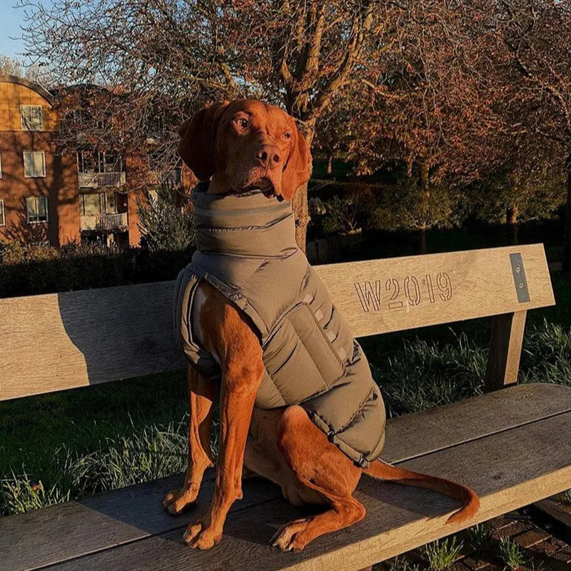 Luxury Winter Dog Jacket | Soft Fleece Lining & Adjustable Fit