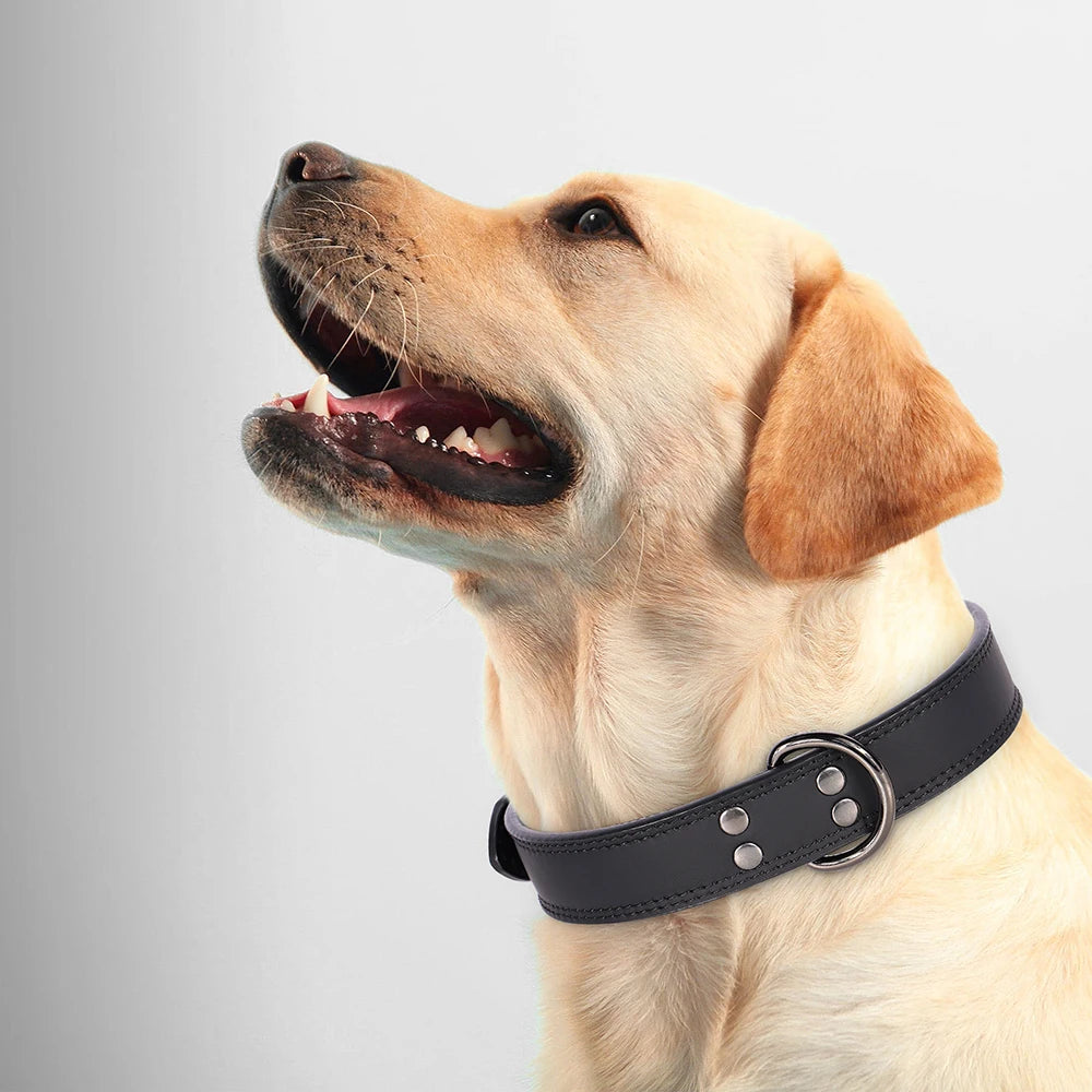 Premium Genuine Leather Dog Collar | Adjustable & Durable for Small, Medium & Large Dogs