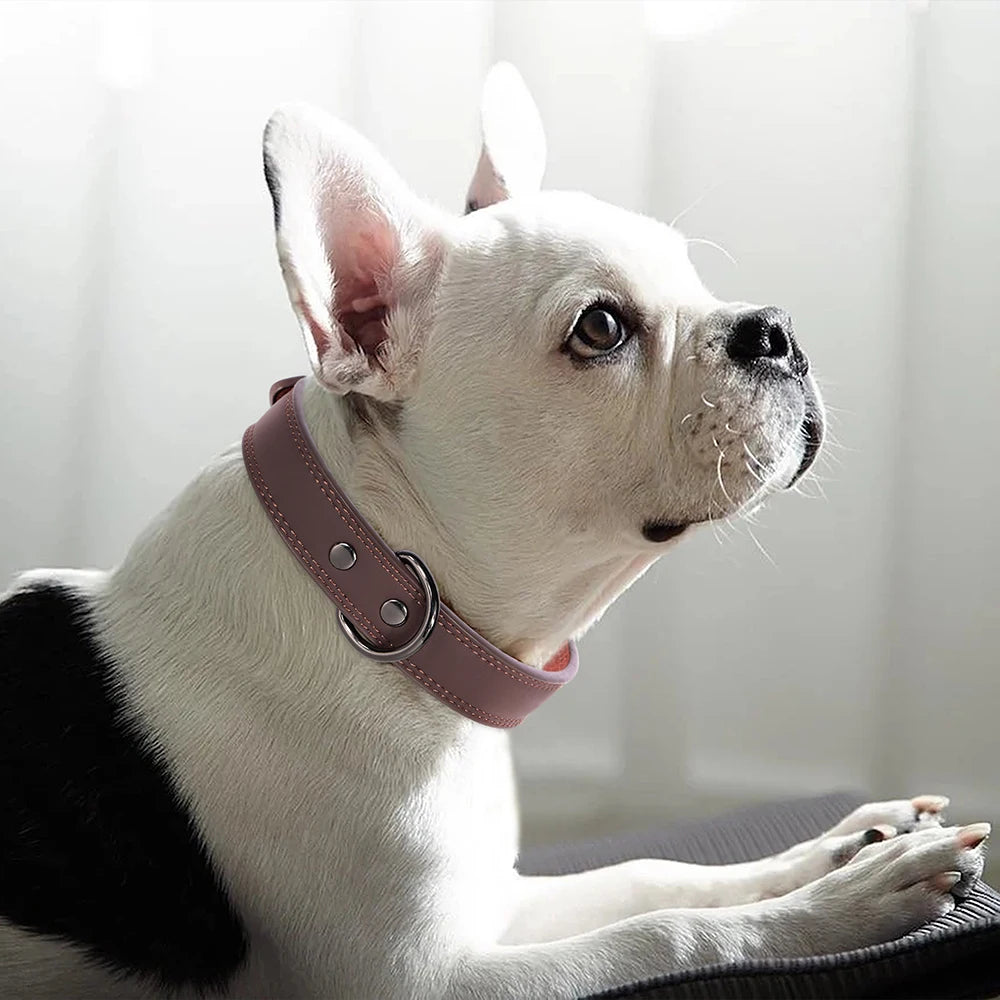 Premium Genuine Leather Dog Collar | Adjustable & Durable for Small, Medium & Large Dogs
