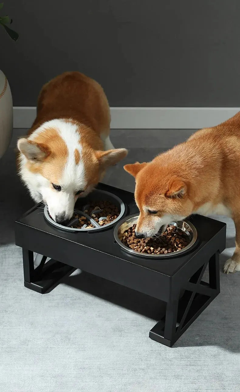 Adjustable Elevated Dog Feeder with Double Stainless Steel Bowls