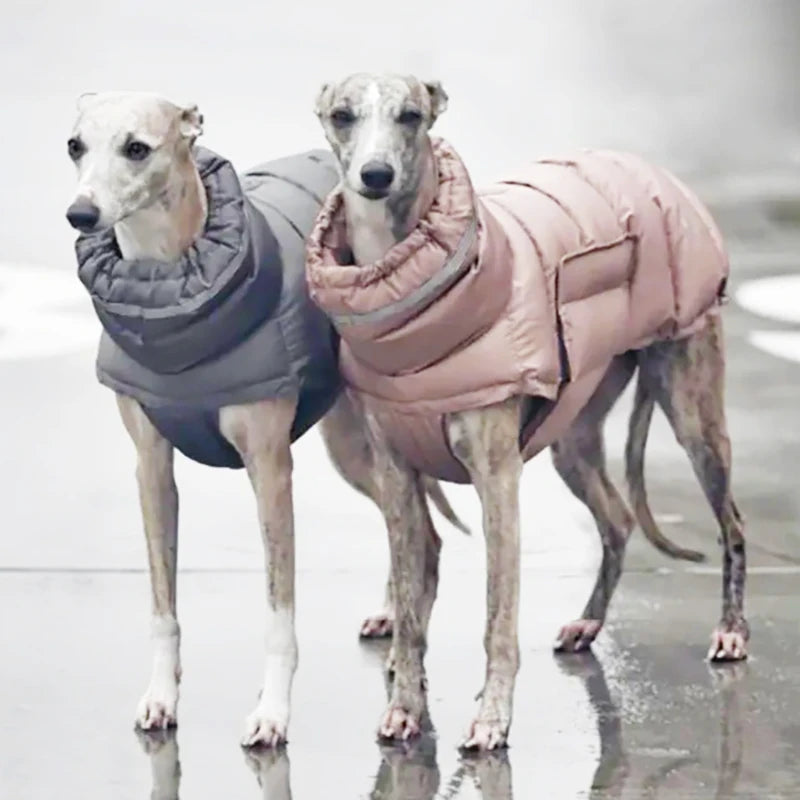 Luxury Winter Dog Jacket | Soft Fleece Lining & Adjustable Fit
