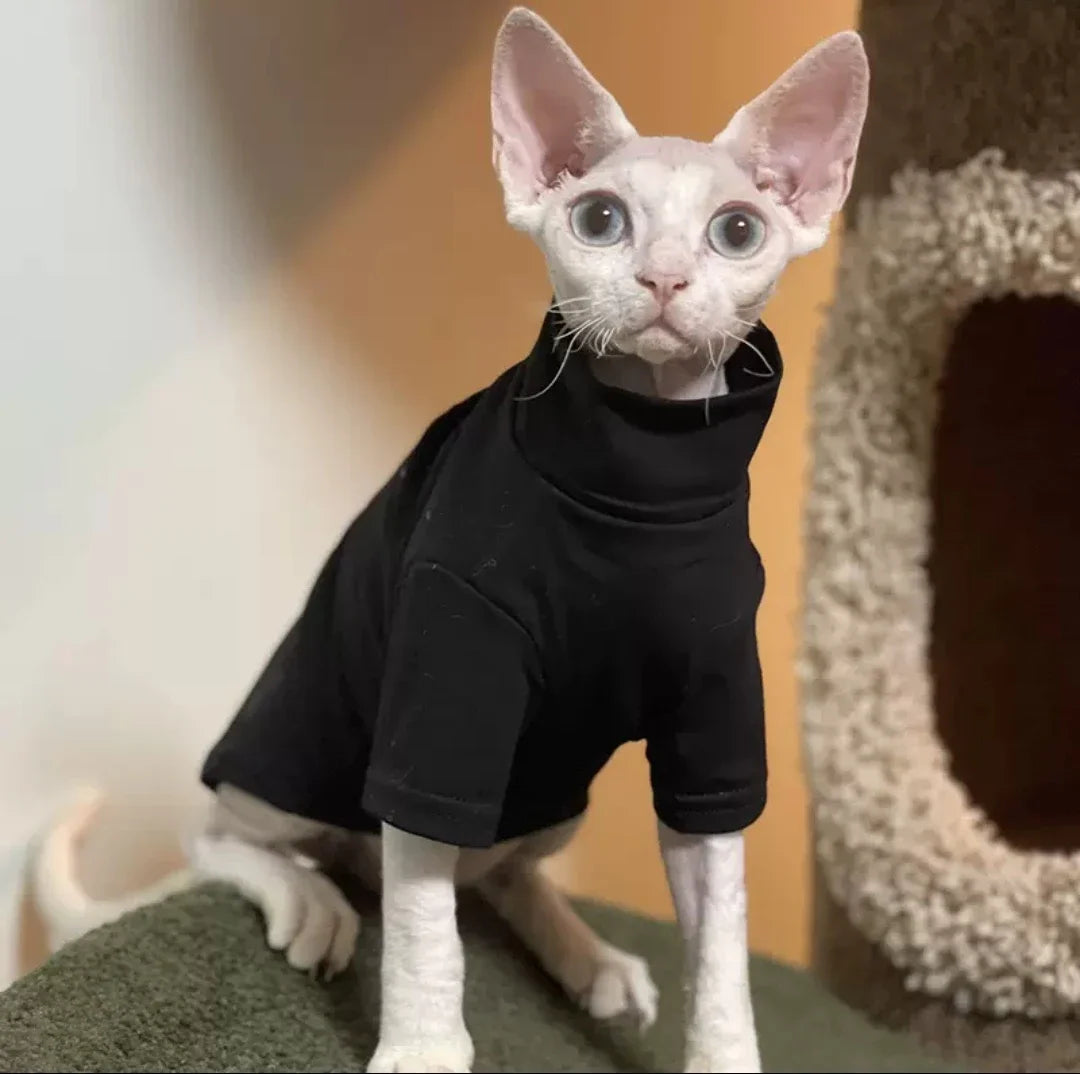 Soft Cotton Pet Hoodie with Turtleneck | Cat & Small Dog Sweatshirt