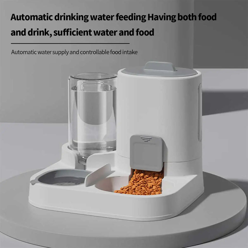 2-in-1 Pet Feeding & Water Dispenser Station