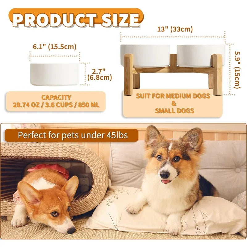 Elevated Ceramic Pet Bowl Set for Small Dogs & Cats – Ergonomic Feeding Stand