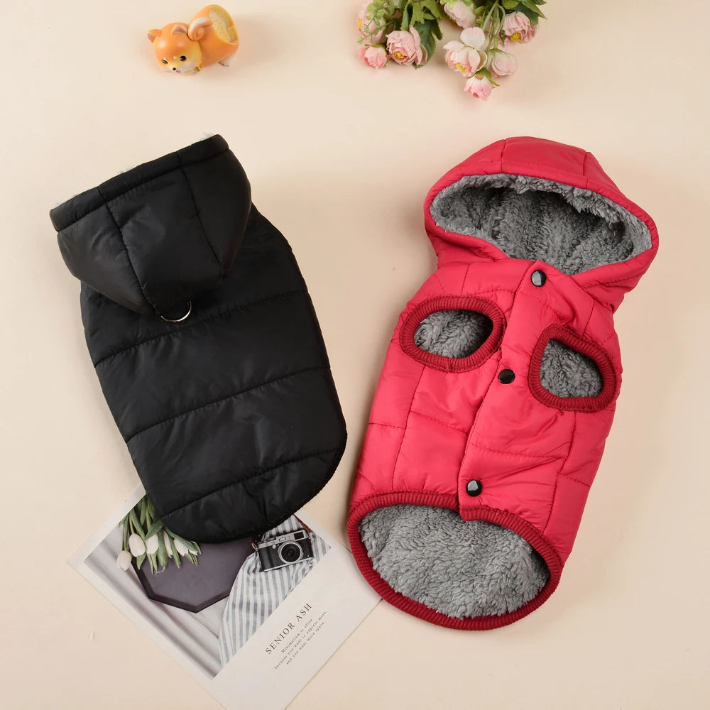 Waterproof Pet Hoodie Jacket with D-Ring | Winter Warm Fleece Coat for Cats & Small Dogs (XS–XL)