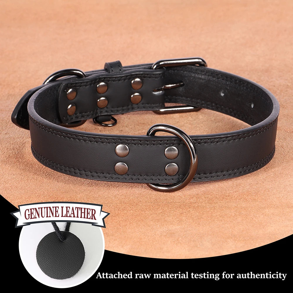 Premium Genuine Leather Dog Collar | Adjustable & Durable for Small, Medium & Large Dogs