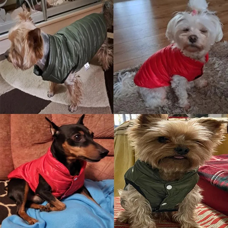 Winter Dog Vest | Warm Fleece Jacket for Small & Medium Dogs