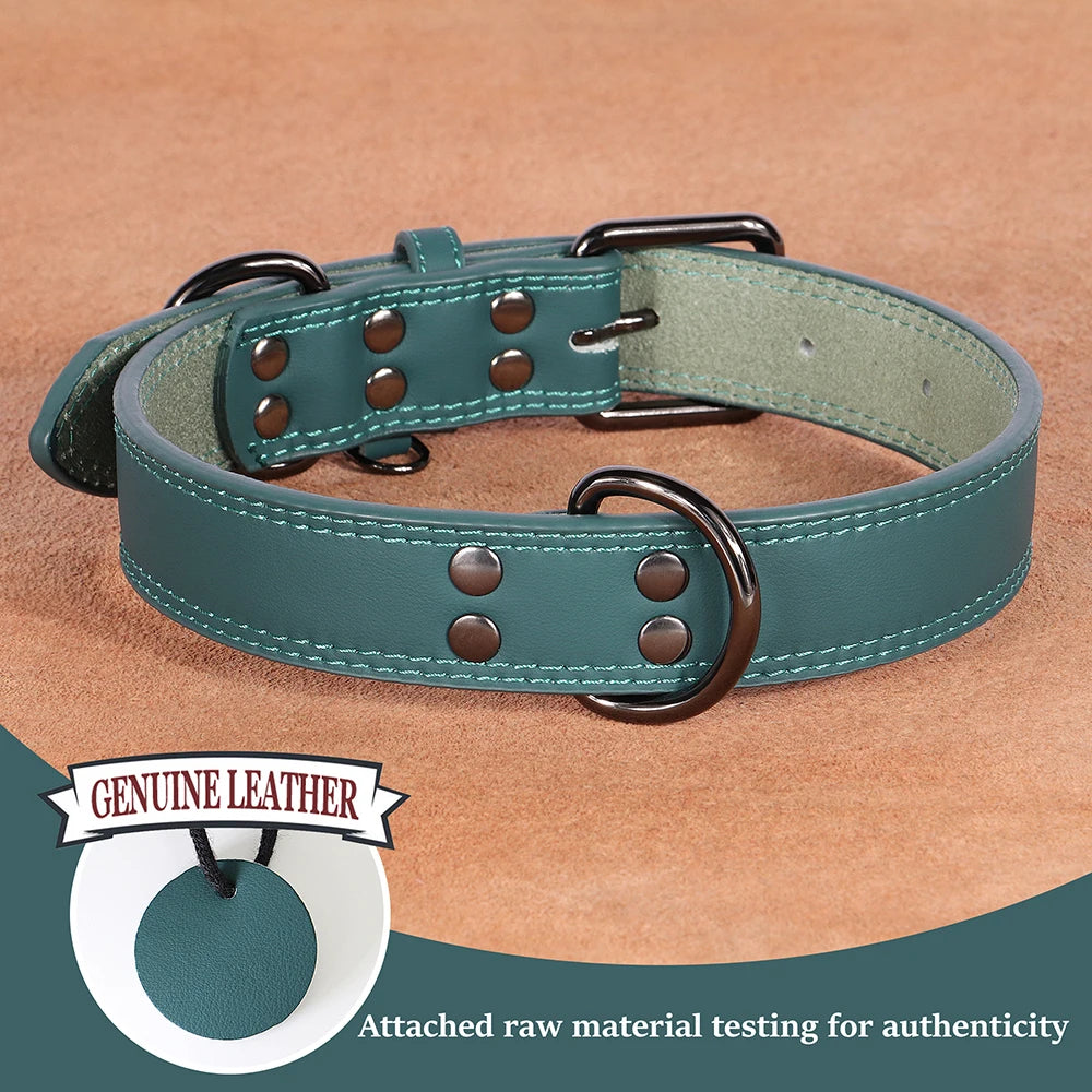 Premium Genuine Leather Dog Collar | Adjustable & Durable for Small, Medium & Large Dogs