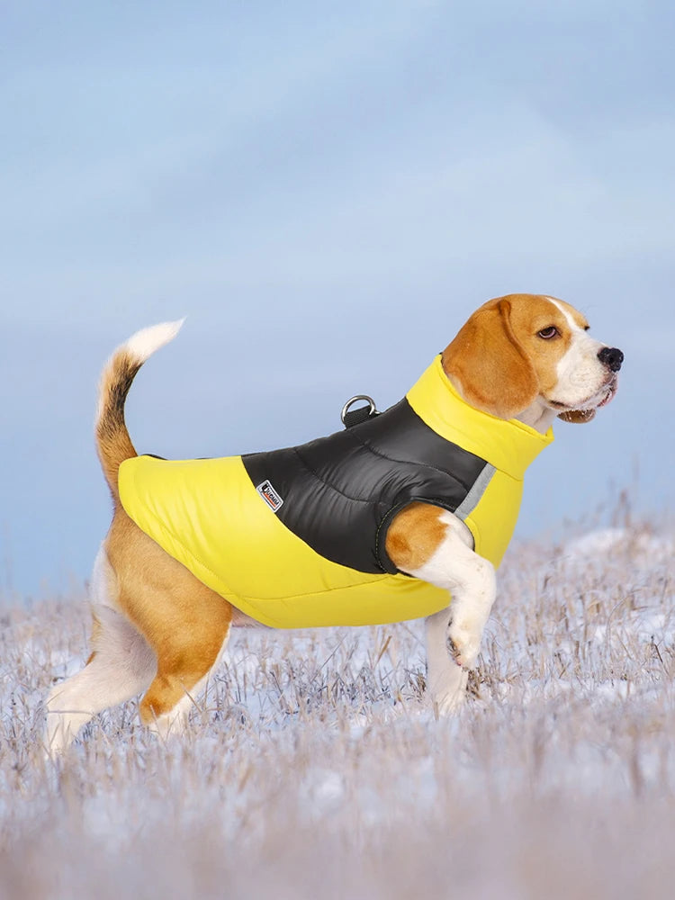 Waterproof Winter Dog Jacket | Padded Warm Vest for Small & Large Dogs