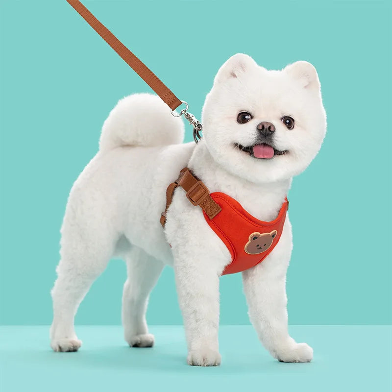 Cute Bear Dog Harness & Leash Set | Adjustable, Breathable & Secure