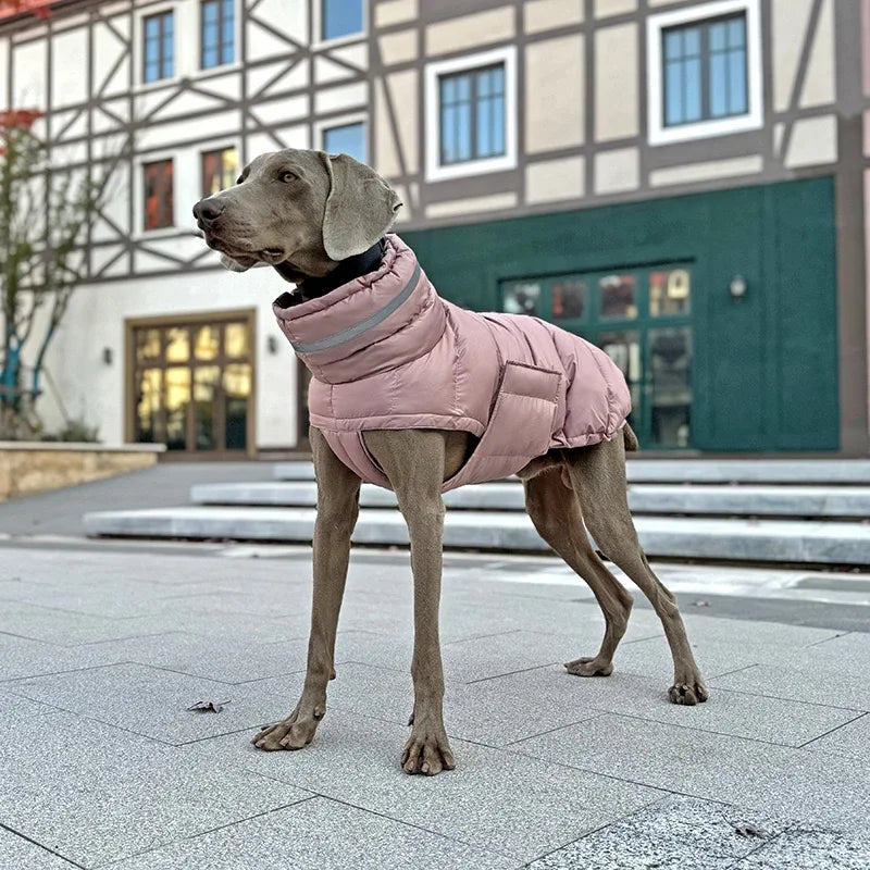 Luxury Winter Dog Jacket | Soft Fleece Lining & Adjustable Fit