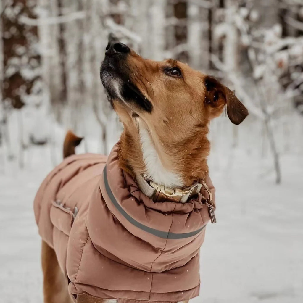 Luxury Winter Dog Jacket | Soft Fleece Lining & Adjustable Fit