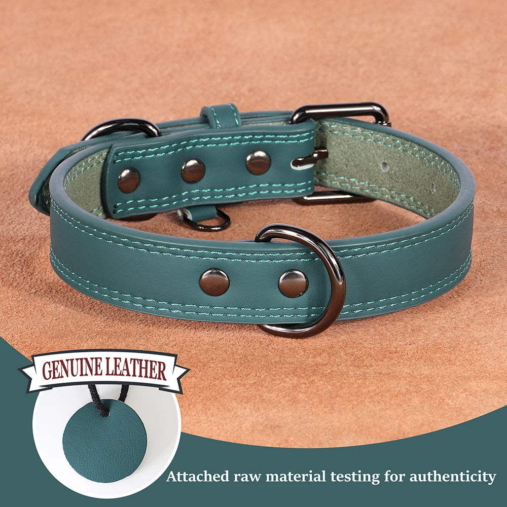 Premium Genuine Leather Dog Collar | Adjustable & Durable for Small, Medium & Large Dogs