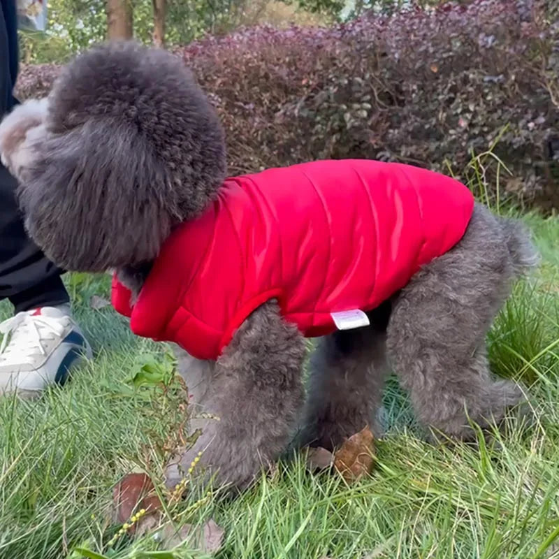 Winter Dog Vest | Warm Fleece Jacket for Small & Medium Dogs