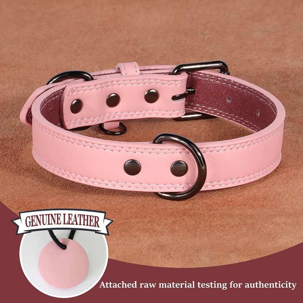 Premium Genuine Leather Dog Collar | Adjustable & Durable for Small, Medium & Large Dogs