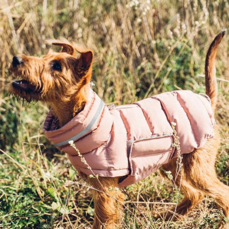 Luxury Winter Dog Jacket | Soft Fleece Lining & Adjustable Fit
