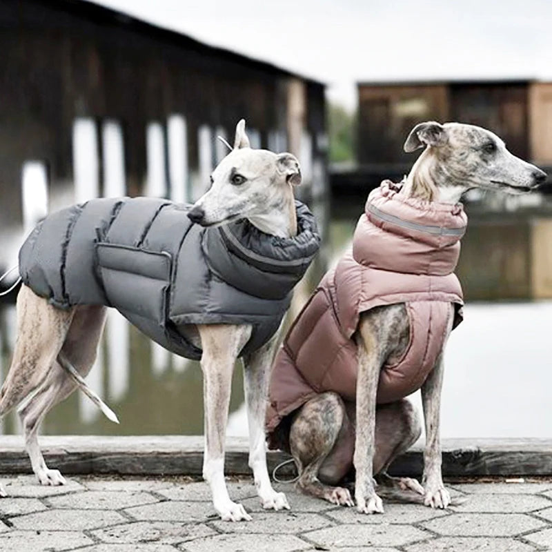 Luxury Winter Dog Jacket | Soft Fleece Lining & Adjustable Fit