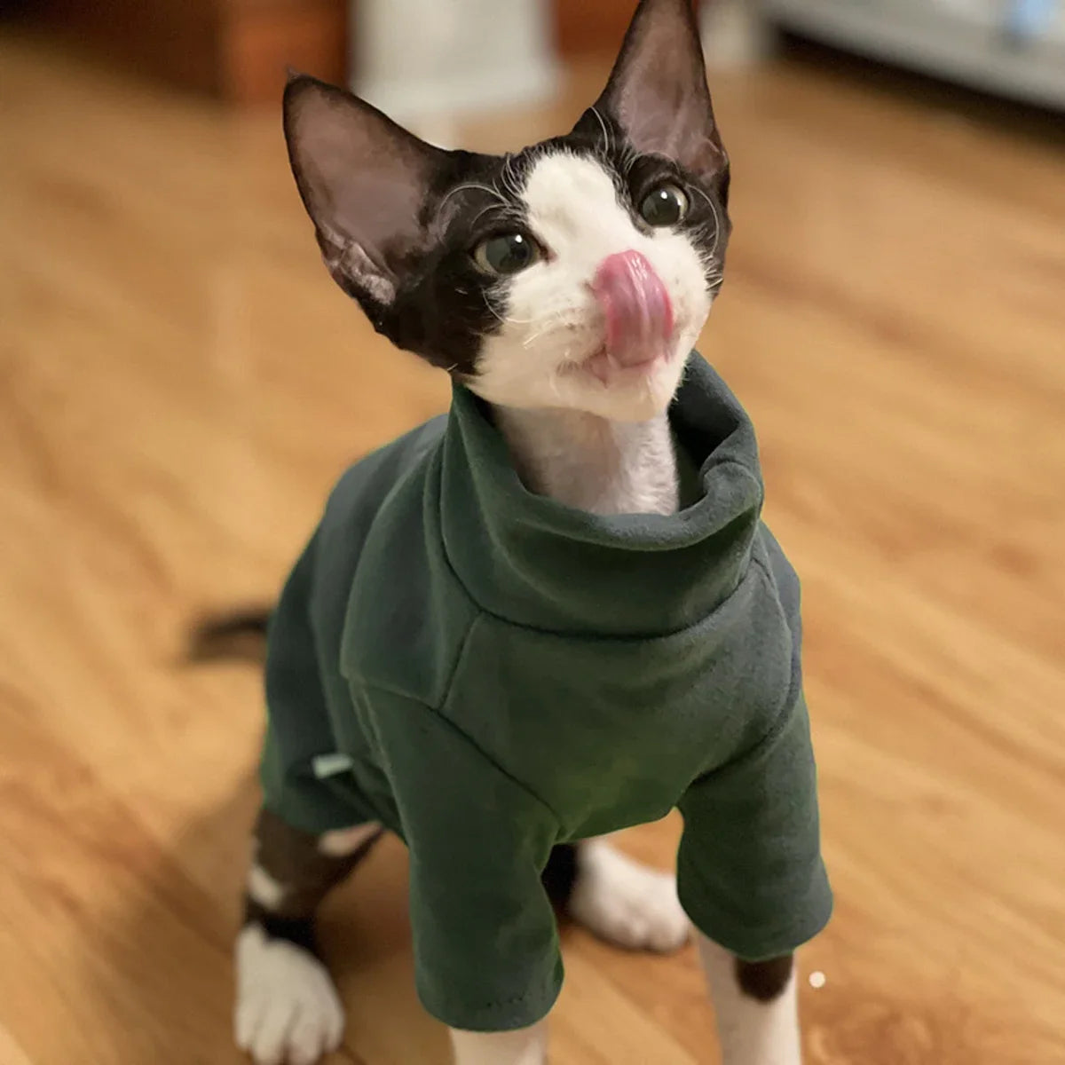 Soft Cotton Pet Hoodie with Turtleneck | Cat & Small Dog Sweatshirt
