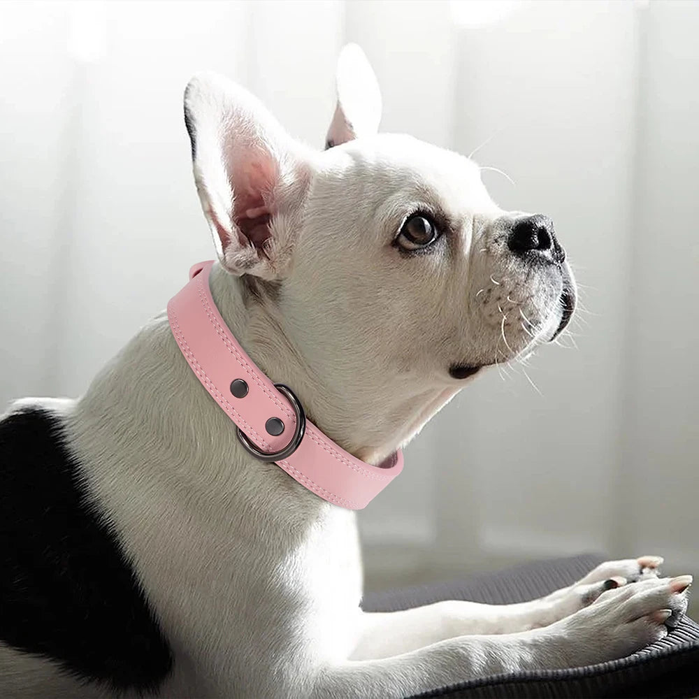 Premium Genuine Leather Dog Collar | Adjustable & Durable for Small, Medium & Large Dogs