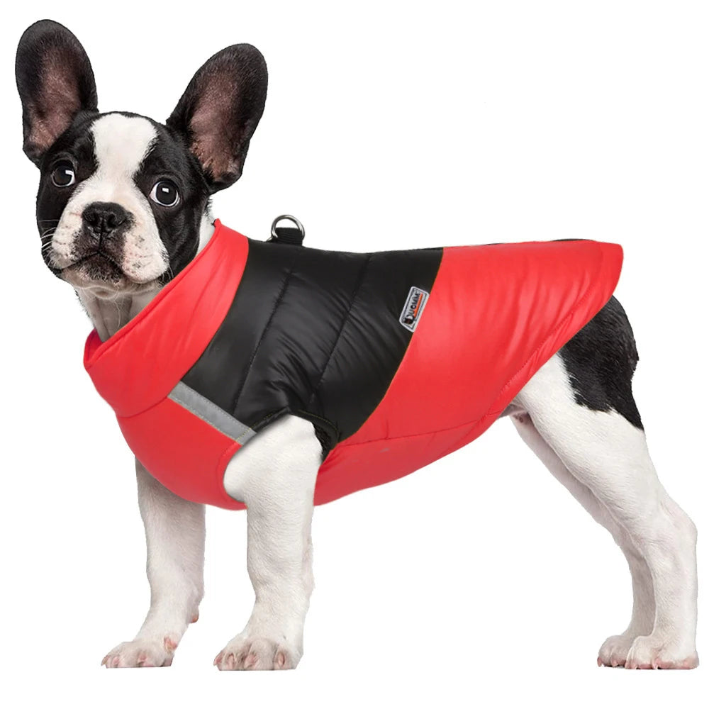 Waterproof Winter Dog Jacket | Padded Warm Vest for Small & Large Dogs