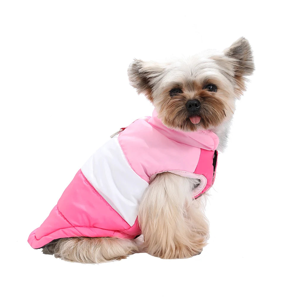 Chaqueta acolchada de invierno para perros | Abrigo cálido y ligero para perros pequeños