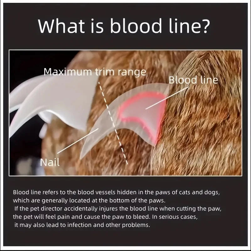 LED Nail Clipper for Pets | Safe, Precise & Stress-Free Grooming