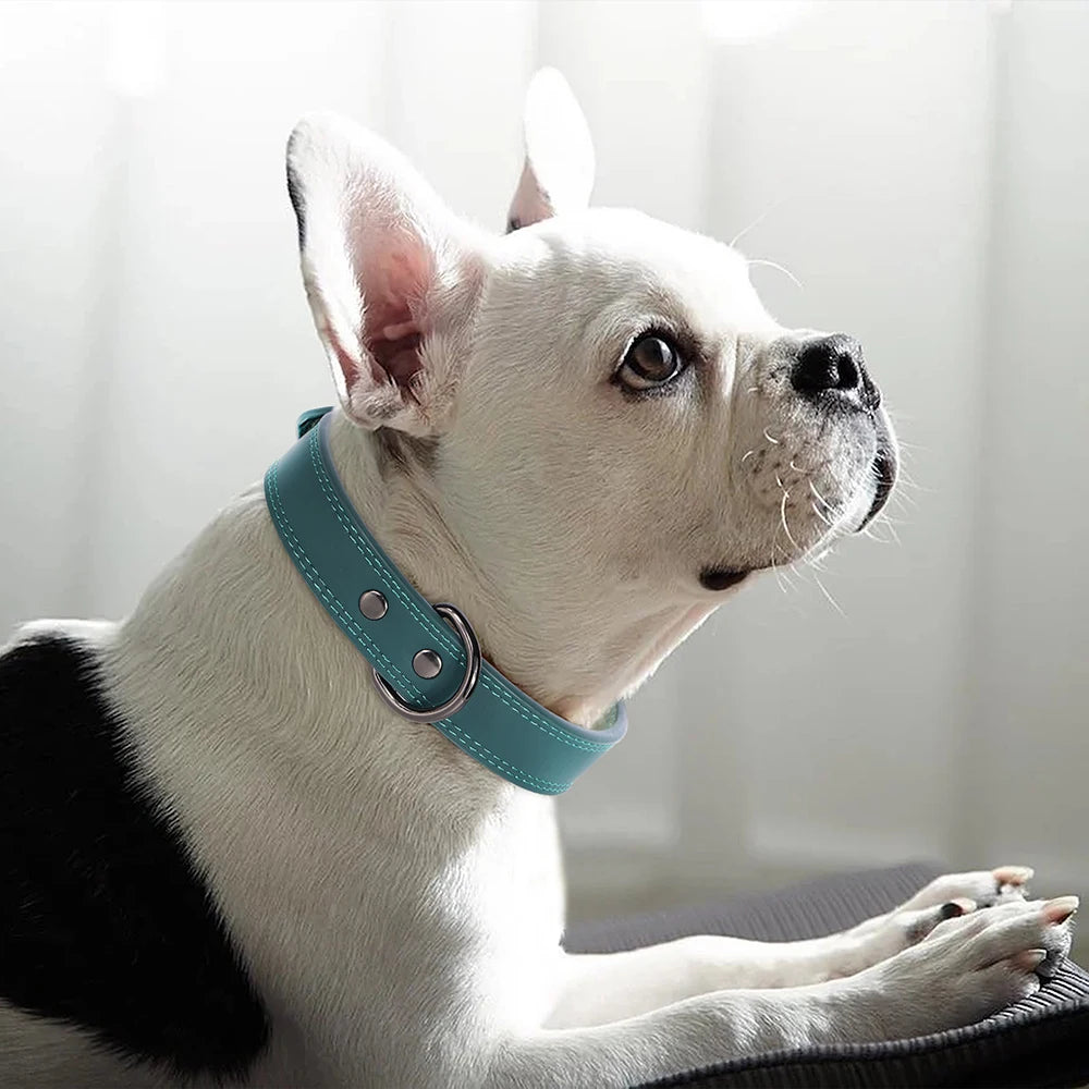 Premium Genuine Leather Dog Collar | Adjustable & Durable for Small, Medium & Large Dogs