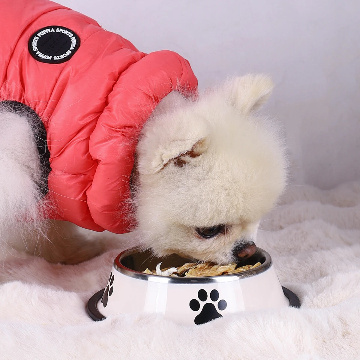 Stainless Steel Pet Bowl | Anti-Slip Food & Water Bowl (Multiple Sizes)