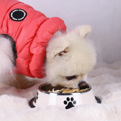 Stainless Steel Pet Bowl | Anti-Slip Food & Water Bowl (Multiple Sizes)