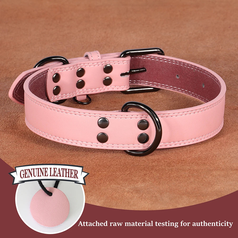 Premium Genuine Leather Dog Collar | Adjustable & Durable for Small, Medium & Large Dogs