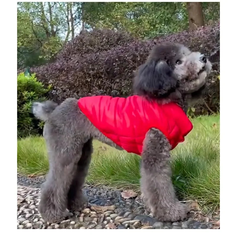 Winter Dog Vest | Warm Fleece Jacket for Small & Medium Dogs