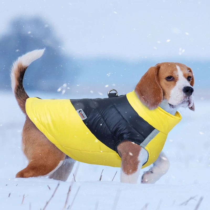 Waterproof Winter Dog Jacket | Padded Warm Vest for Small & Large Dogs