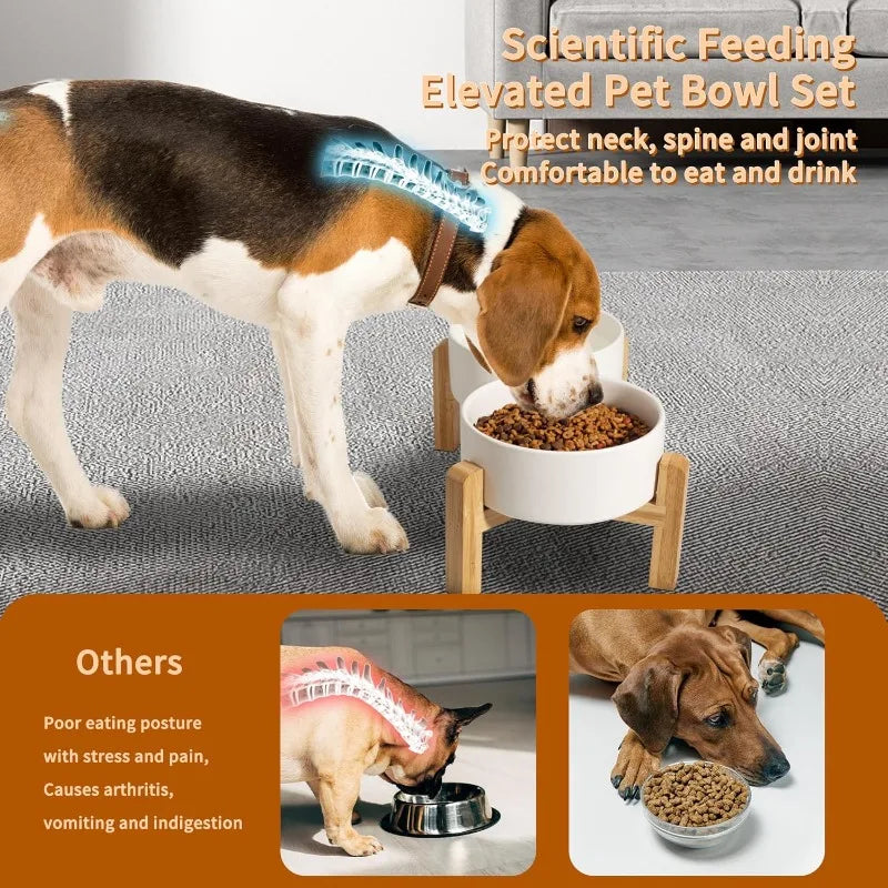 Elevated Ceramic Pet Bowl Set for Small Dogs & Cats – Ergonomic Feeding Stand