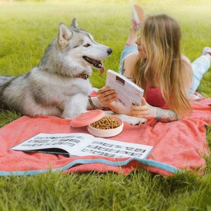 Portable Travel Pet Bowl for Food & Water