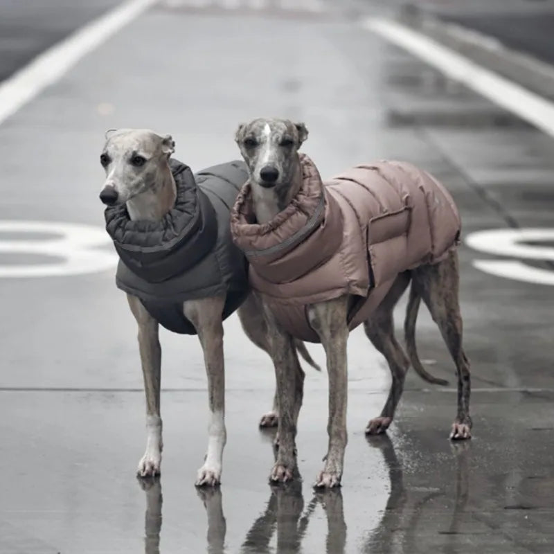 Luxury Winter Dog Jacket | Soft Fleece Lining & Adjustable Fit