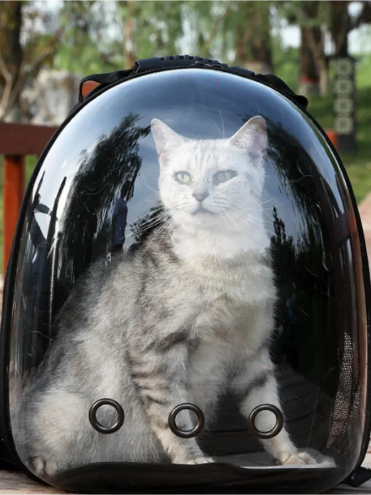 Transparent Space Capsule Pet Backpack | Breathable Travel Carrier for Cats