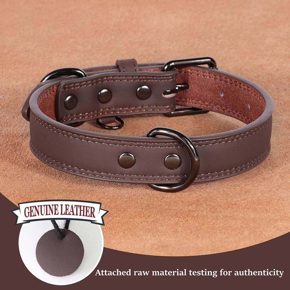Premium Genuine Leather Dog Collar | Adjustable & Durable for Small, Medium & Large Dogs